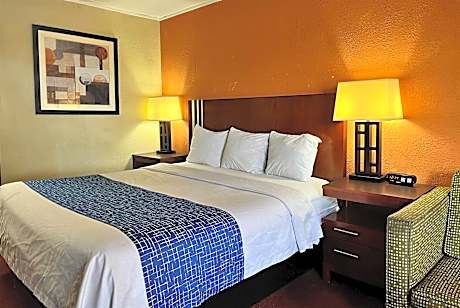 1 King Bed Non-Smoking