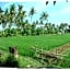 Sawah Lovina