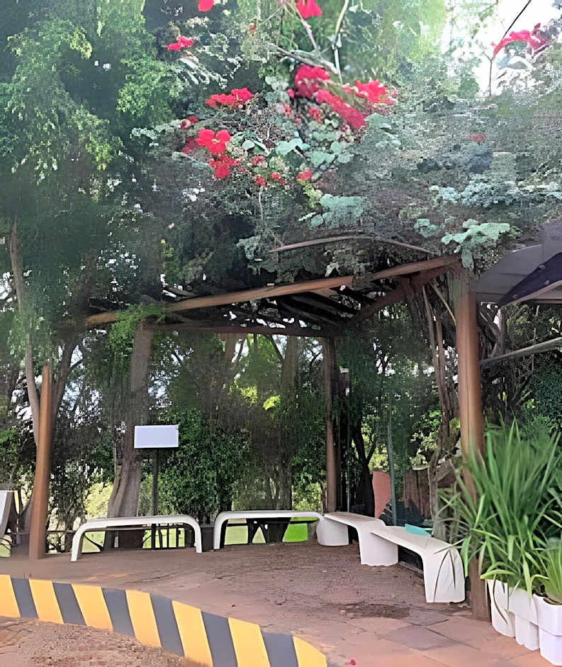 Brasília Studio - Tecnologia & Cia.