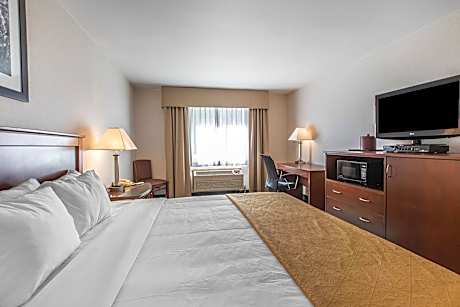 1 King Bed, Nonsmoking