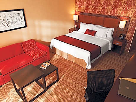 Room, 1 King Bed with Sofa bed (1 King Bed and 1 Double Sofa Bed)