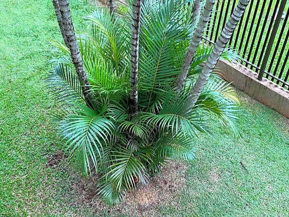 Apartamento em vila Industrial Bloco 03 Ap 202