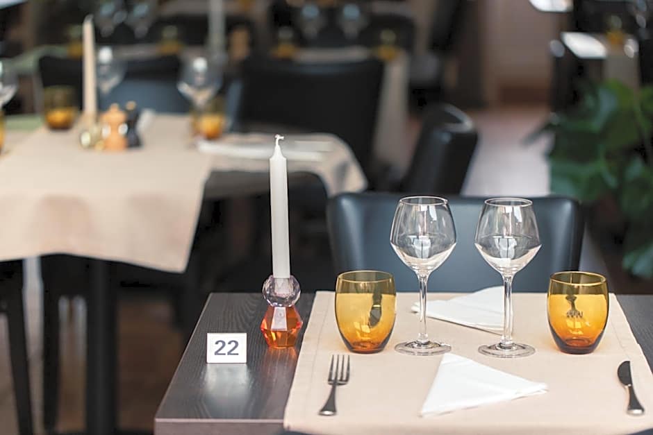 Hôtel Restaurant La Croix Verte Vich