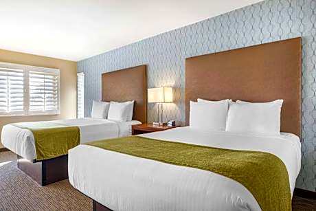 Queen Room with Two Queen Beds - Non-Smoking