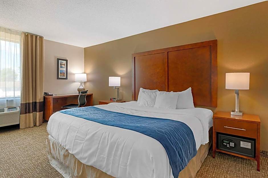 Comfort Inn Anderson South