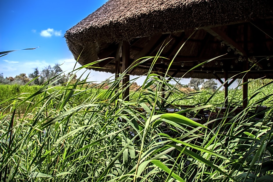 Green Village Resort