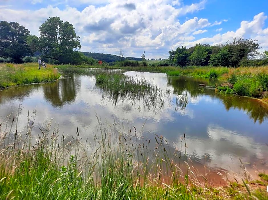 Hood Lane Farm - The Parlour - Self Catering Ground Floor Apartment