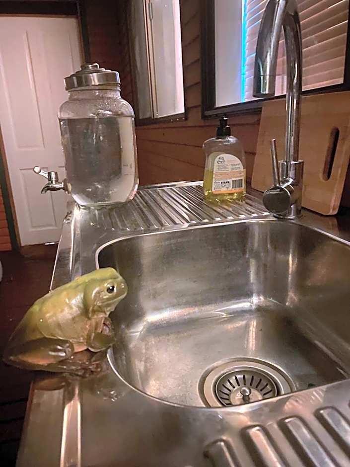 Nimbin waterfall retreat