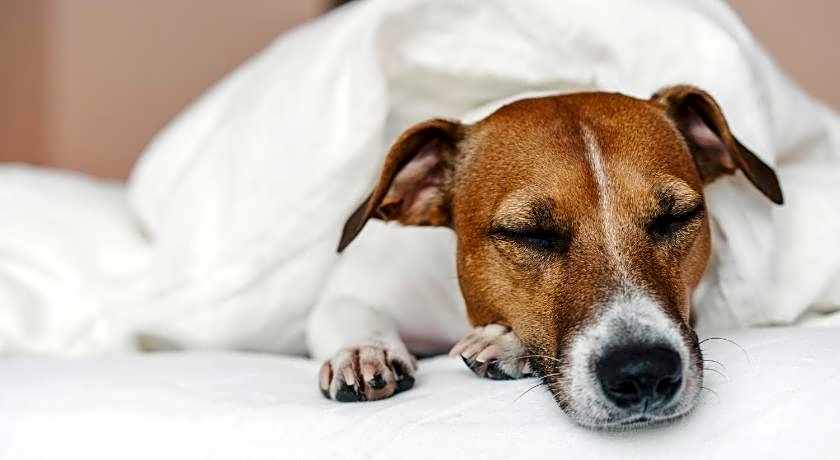 Garner Berlin - Spandau By IHG