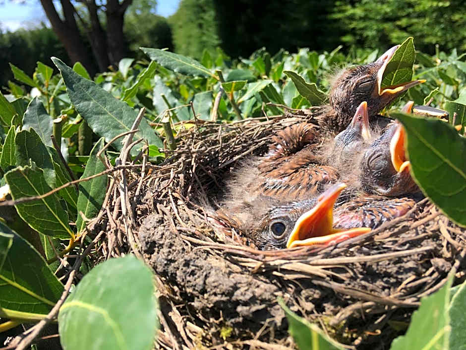 Le paradis de la Provence
