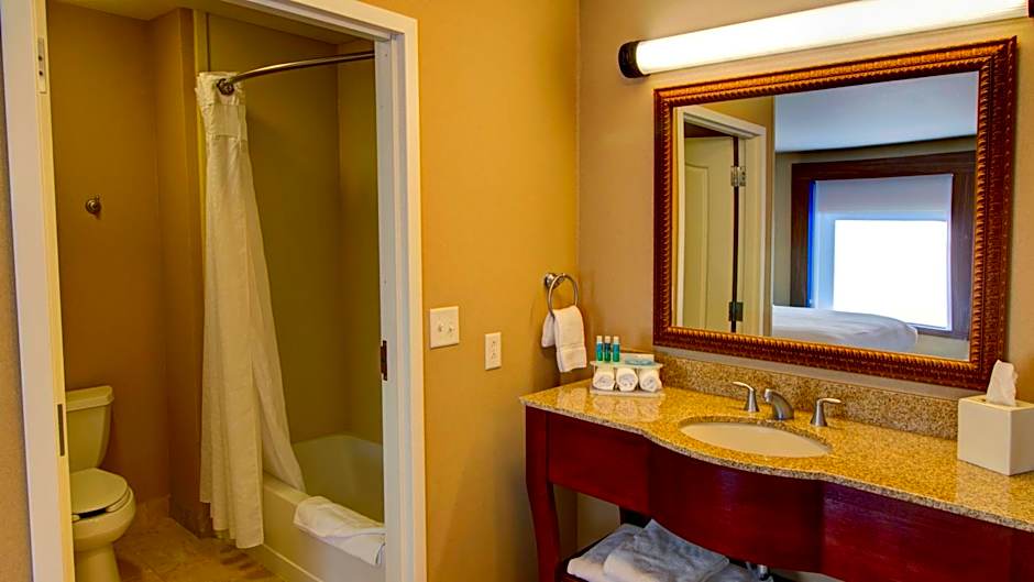 Holiday Inn Express & Suites Sioux City-South By IHG