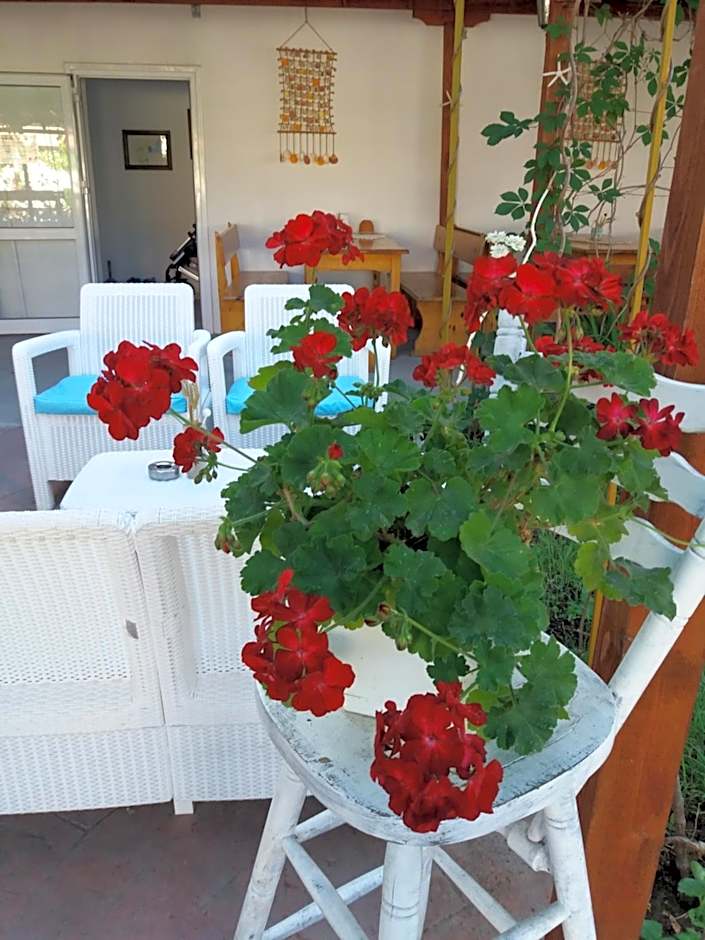 Alba Family Club Hotel