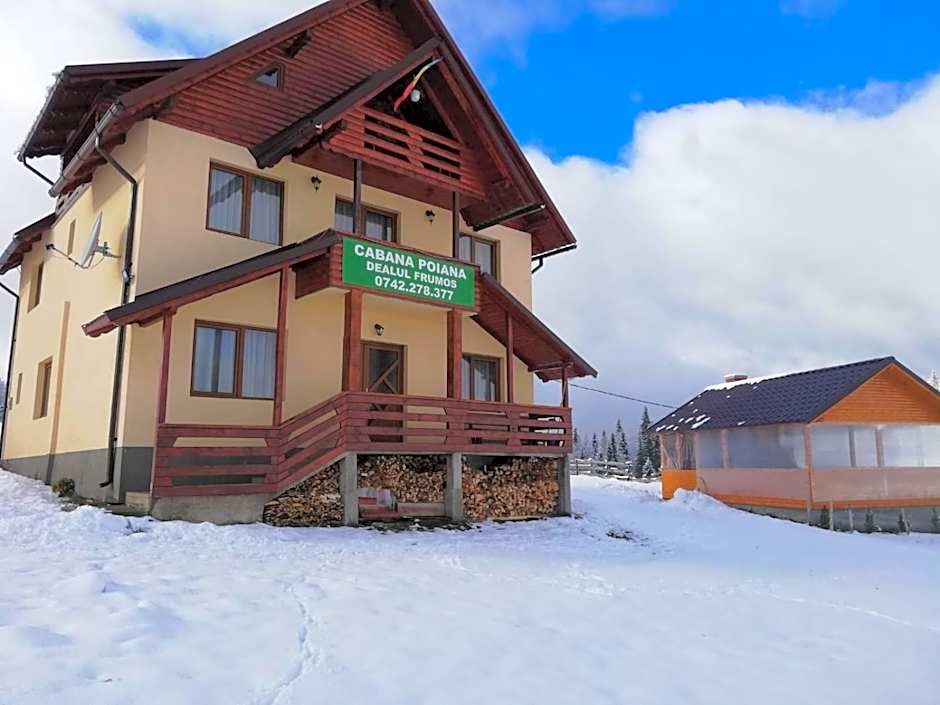 Cabana Poiana Dealul Frumos
