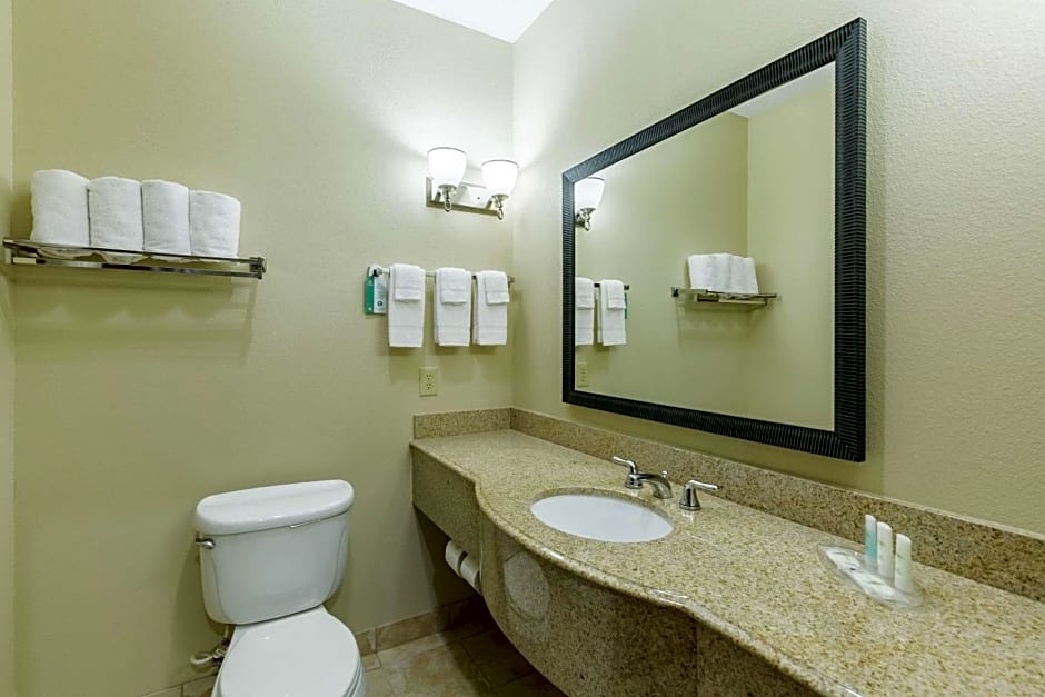 Comfort Suites Beaumont I-10