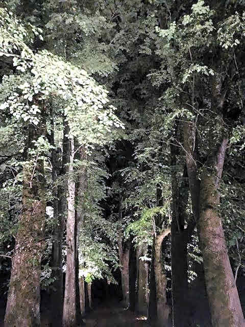 Chateau de Moison, Domaine Eco Nature