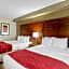 Comfort Suites At Virginia Center Commons