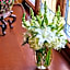 The Brown Palace Hotel and Spa, Autograph Collection