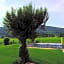 Sonnenmatte Titisee Hotel B und B