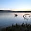 Shambala Private Game Reserve