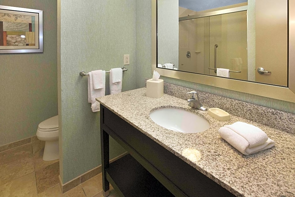 Photo 1 of 5 of 1 King Bed, Mobility Accessible, Bathtub