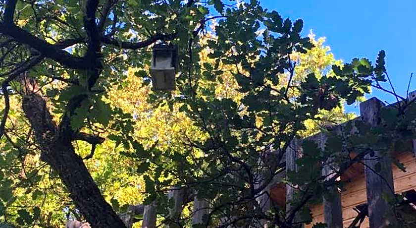 La cabane des amoureux