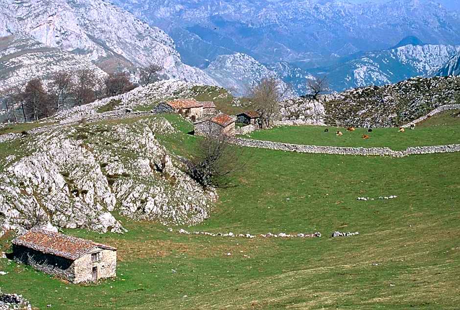 Hotel Picos de Europa