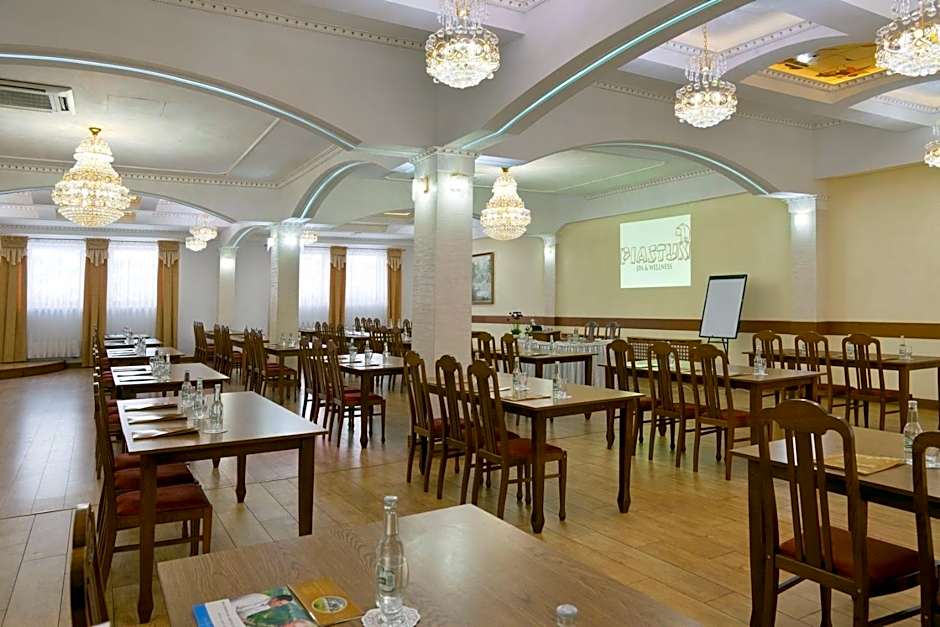 Piastun SPA&Wellness Krynica-Zdrój