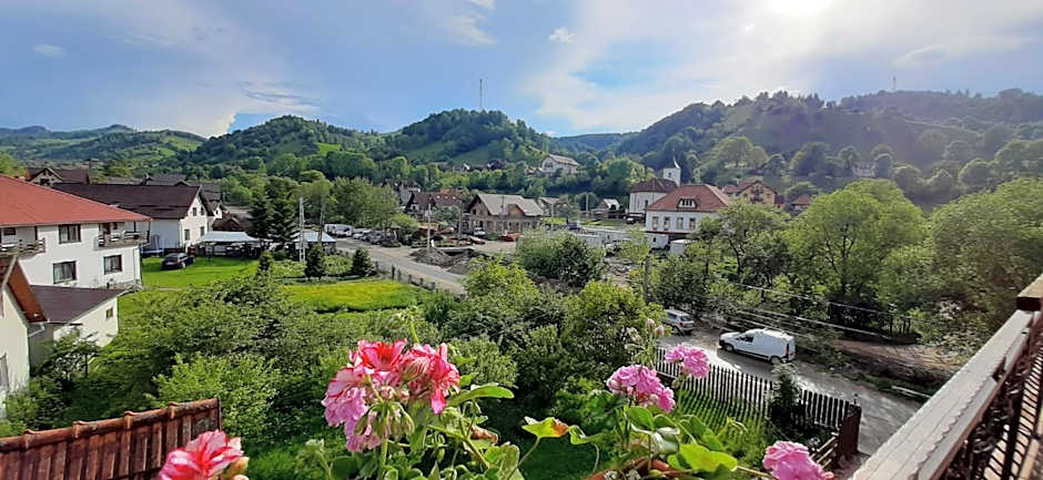 Pensiunea Montan din Bran,sat Simon SPA indoor