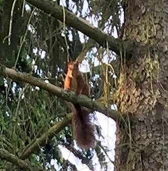 chambres d'hotes saint hubert
