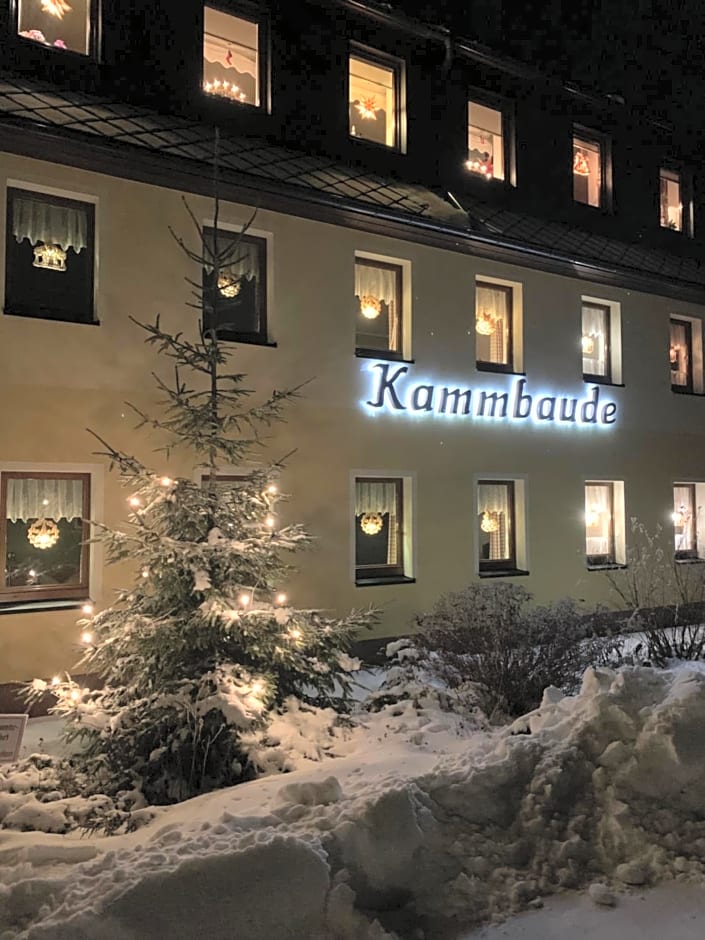 Hotel Dachsbaude & Kammbaude