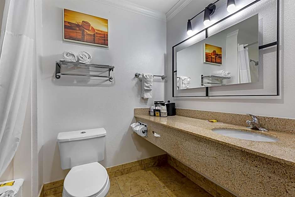 Best Western Plus Southpark Inn & Suites