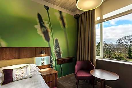 Double Room with View - Non-Smoking