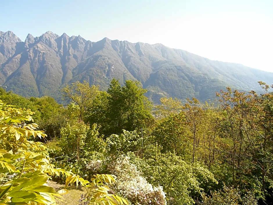 Antica Trattoria del Boden