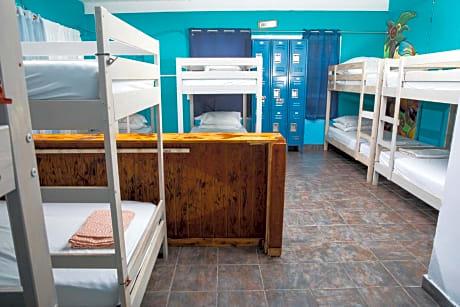 12 Bed Mixed Dorm with Private Bathroom