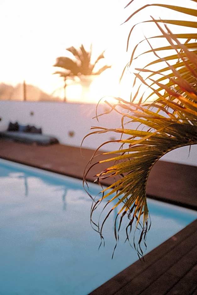 Surf & Yoga Retreats Fuerteventura