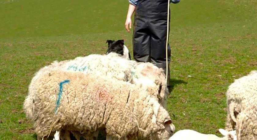 Craigadam Country House Hotel Castle Douglas