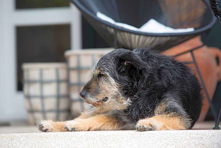 Albergo Garnì Villa Moretti