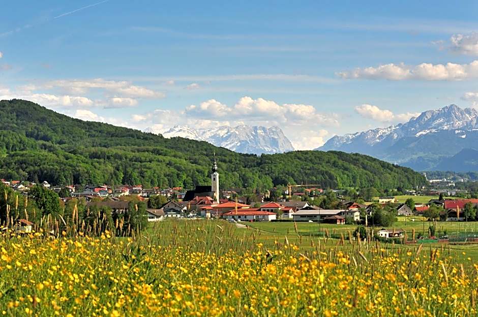 Naturidyll Hotel Hammerschmiede
