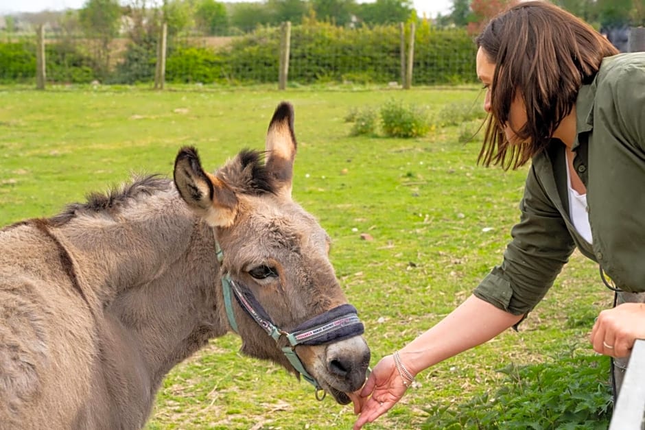 Logements insolites à la ferme - Yourte, Kota ou Pod
