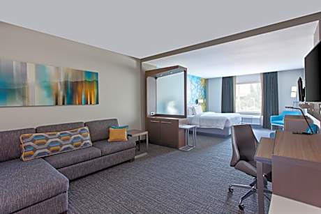Larger Studio, 1 King, Sofa bed