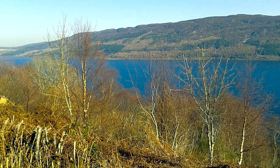 Torcroft Lodges