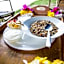 Distant Relatives Ecolodge & Backpackers