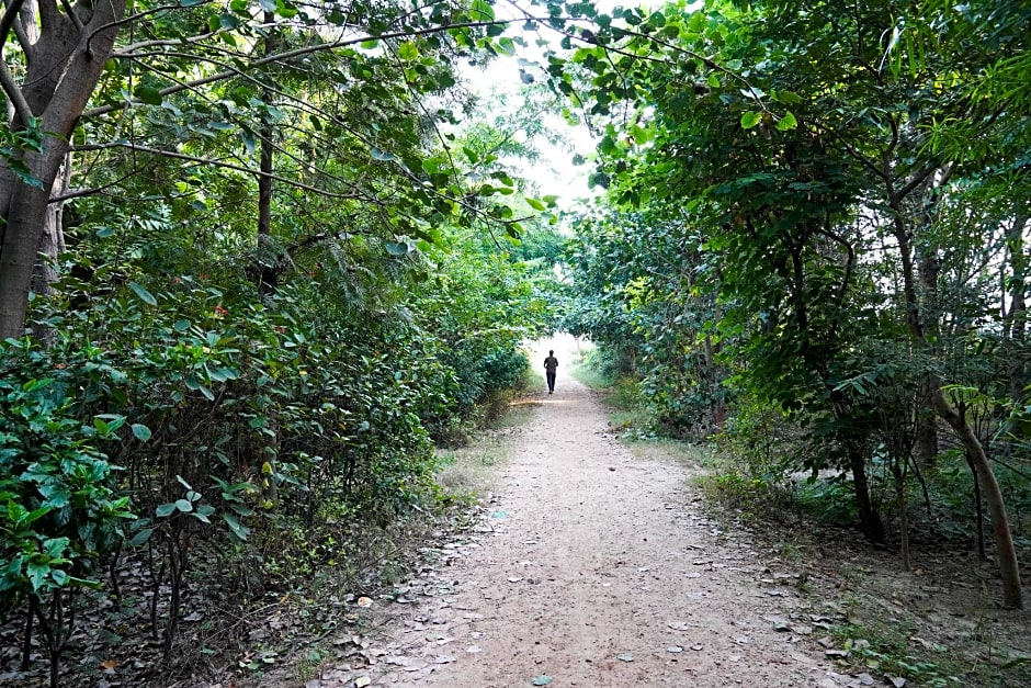 Ginger Noida, Sector 63