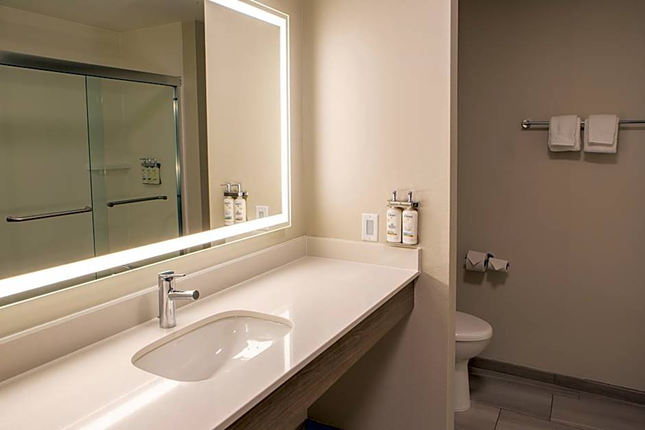 Holiday Inn Express & Suites Sioux City-South By IHG