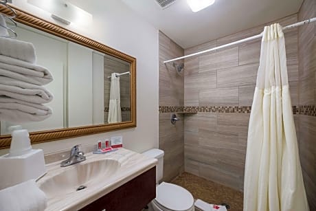 1 Queen Bed, Nonsmoking