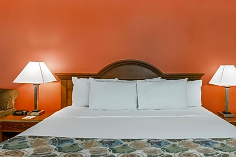 1 Queen Bed Mobility Accessible Room Non-Smoking