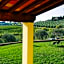 Agriturismo Torraiolo