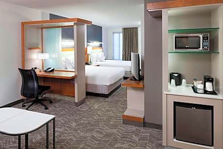 Queen Studio with Sofa Bed and Roll-in Shower - Mobility and Hearing Accessible
