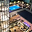 iQ Hotel Firenze