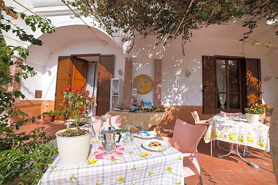 B&B Bouganville